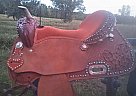 2017 American Saddlery Horse Saddle in Eutaw, Alabama