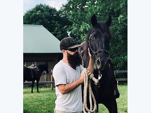 Registered Missouri Fox Trotter