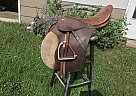 2000 Blue Ribbon Horse Saddle in Brooklyn, Wisconsin