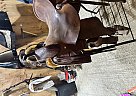 0 Paul Taylor Horse Saddle in Langley, British Columbia