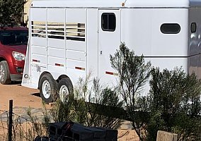 1999 WW Horse Trailer in Sierra Vista, Arizona