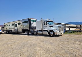 1993 Other Horse Trailer in Garneill, Montana